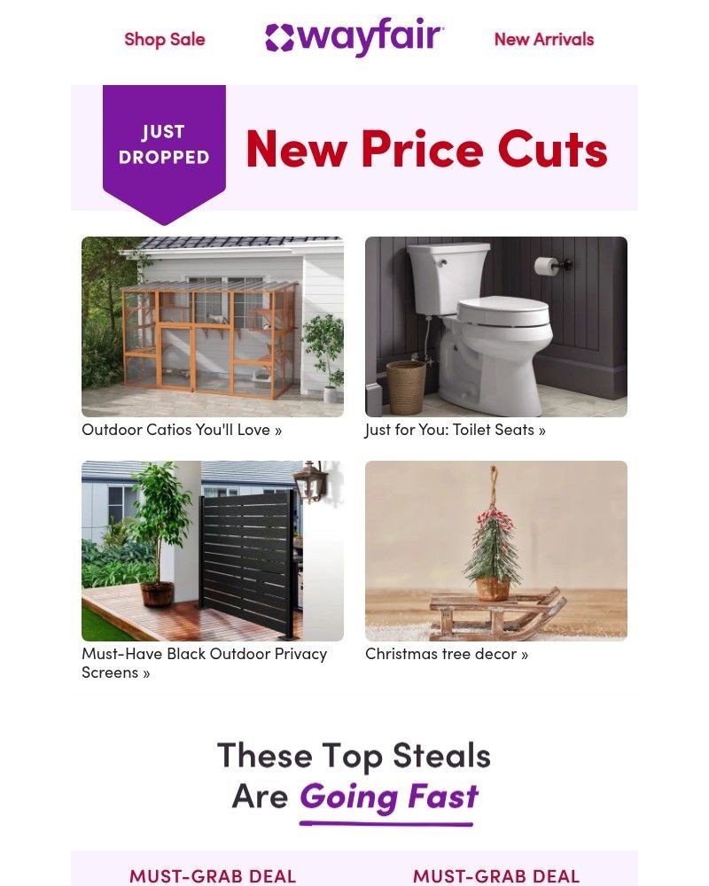 Screenshot of email with subject /media/emails/yesss-new-outdoor-catios-have-arrived-64fd3a-cropped-0757604f.jpg