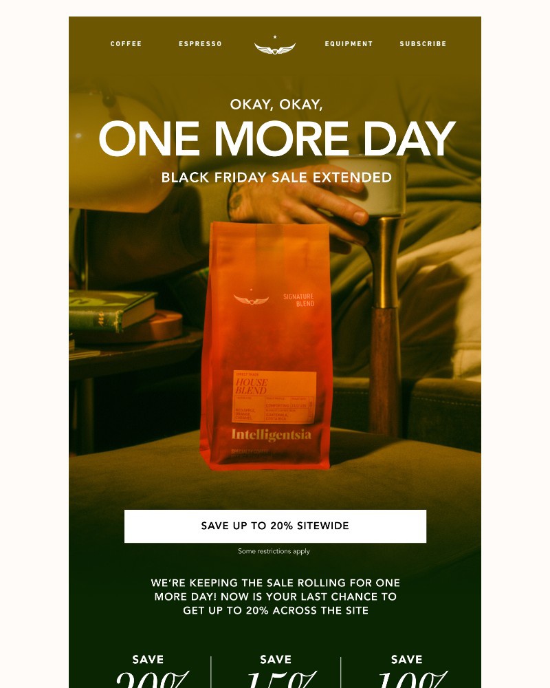 Screenshot of email with subject /media/emails/you-asked-we-answered-sale-extended-26fa06-cropped-101f8893.jpg