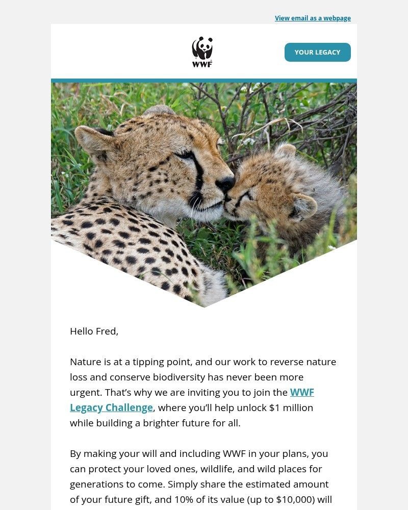 Screenshot of email sent to a World Wildlife Fund Newsletter subscriber