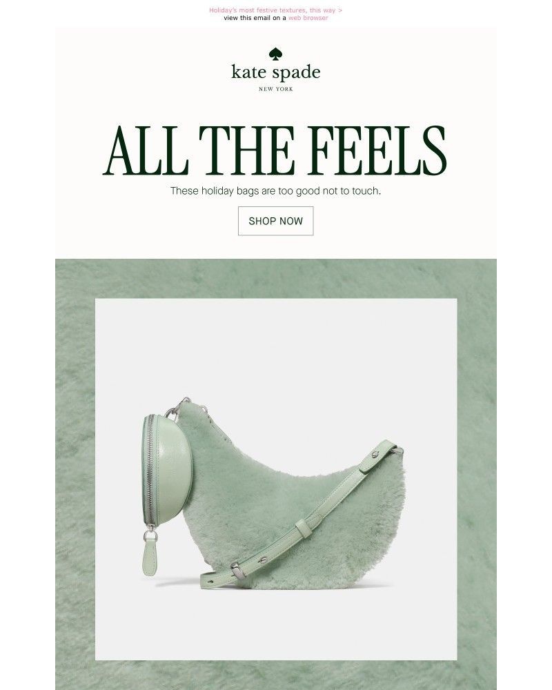 Screenshot of email with subject /media/emails/you-have-to-feel-it-to-believe-it-654c95-cropped-80400546.jpg