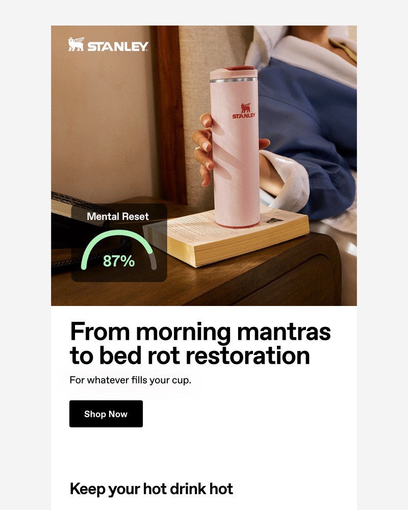 Screenshot of email sent to a Stanley Newsletter subscriber