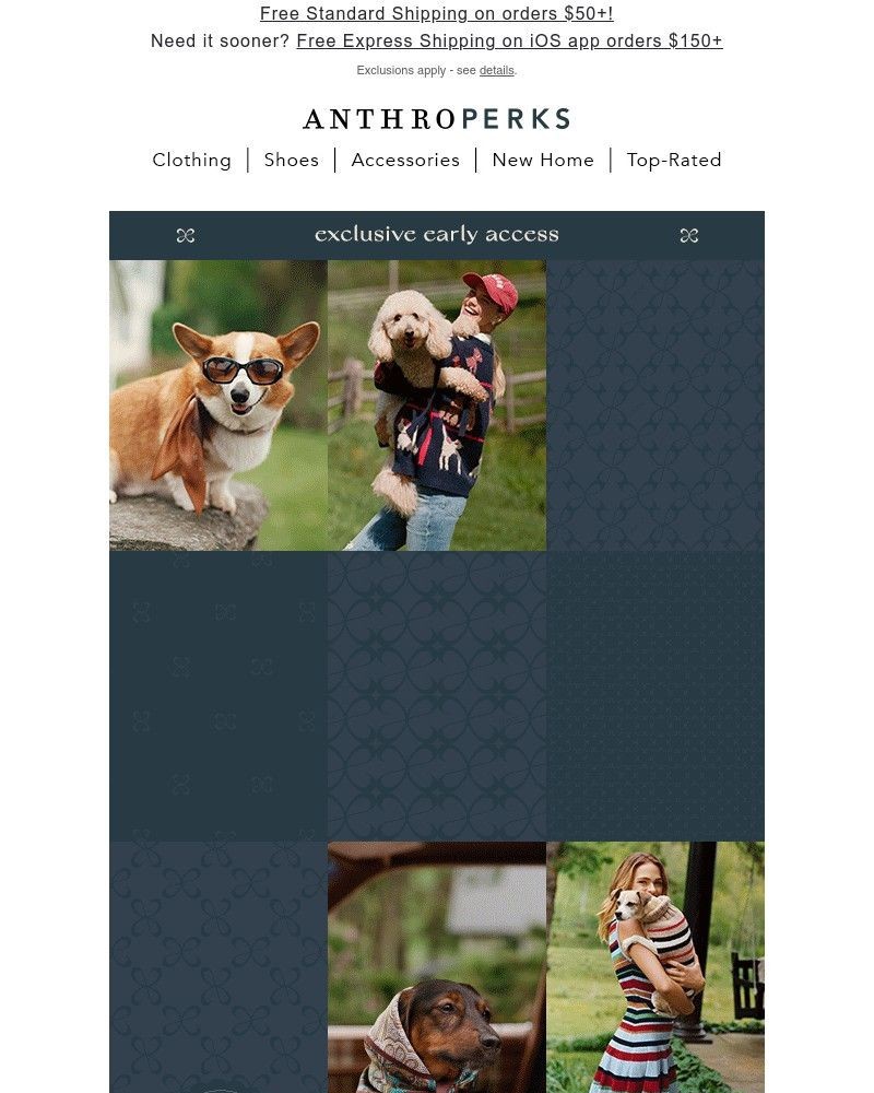 Screenshot of email with subject /media/emails/you-maeve-almost-exclusive-1d6fd9-cropped-37eb57d5.jpg