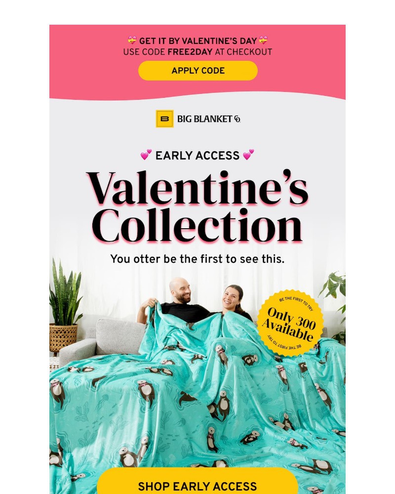 Screenshot of email with subject /media/emails/you-otter-grab-these-before-v-day-1d4d8e-cropped-6d918daf.jpg