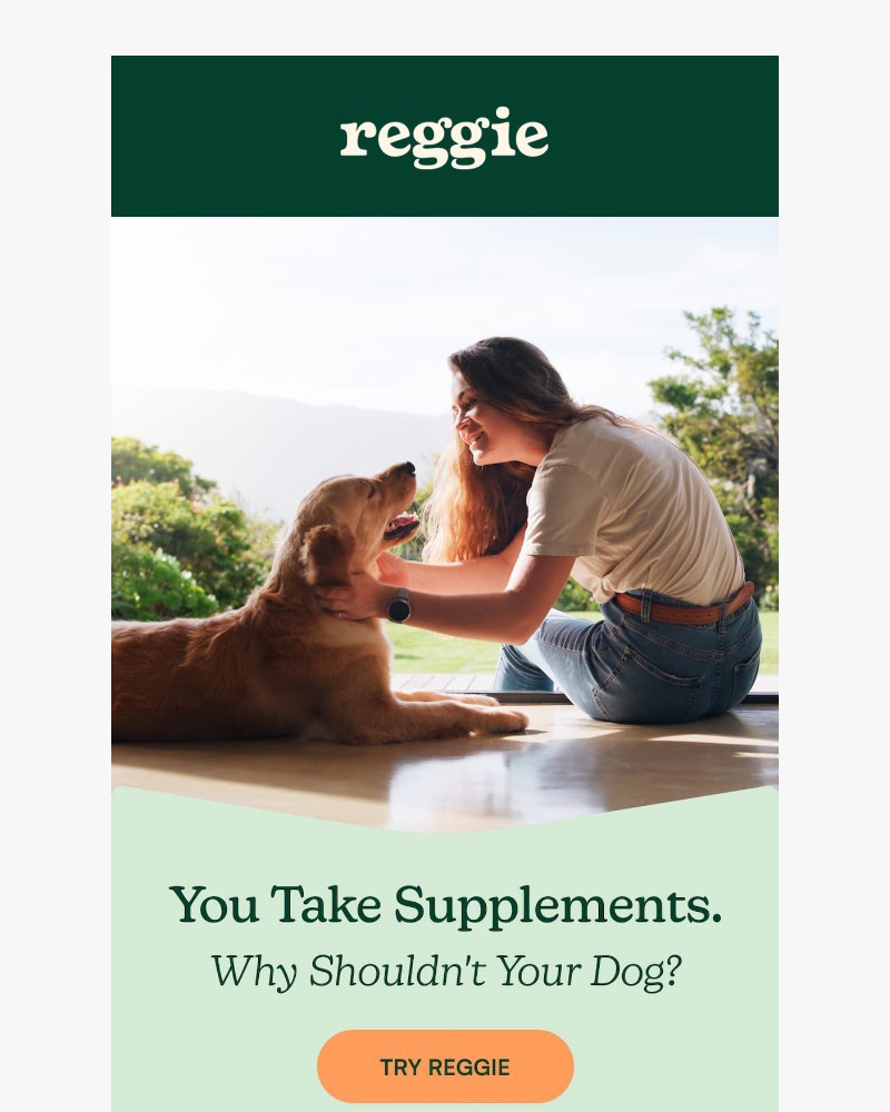 Screenshot of email with subject /media/emails/you-take-supplements-why-not-your-dog-884fc3-cropped-80e0d505.jpg