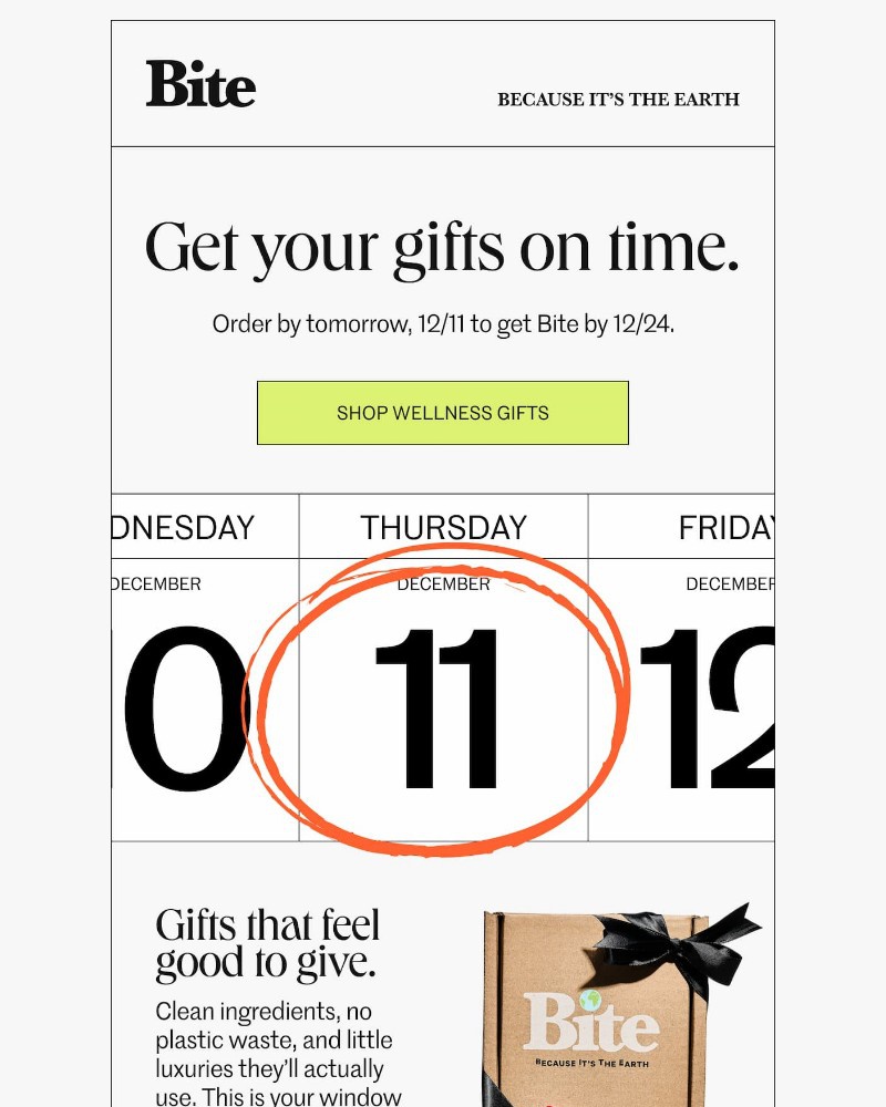 Screenshot of email sent to a Bite Course customer