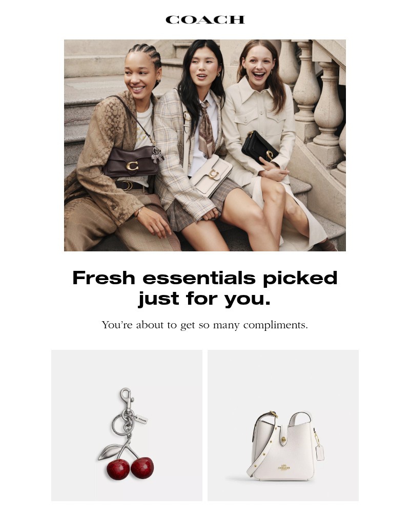 Screenshot of email with subject /media/emails/youll-love-these-bags-7fc9c1-cropped-afbae475.jpg