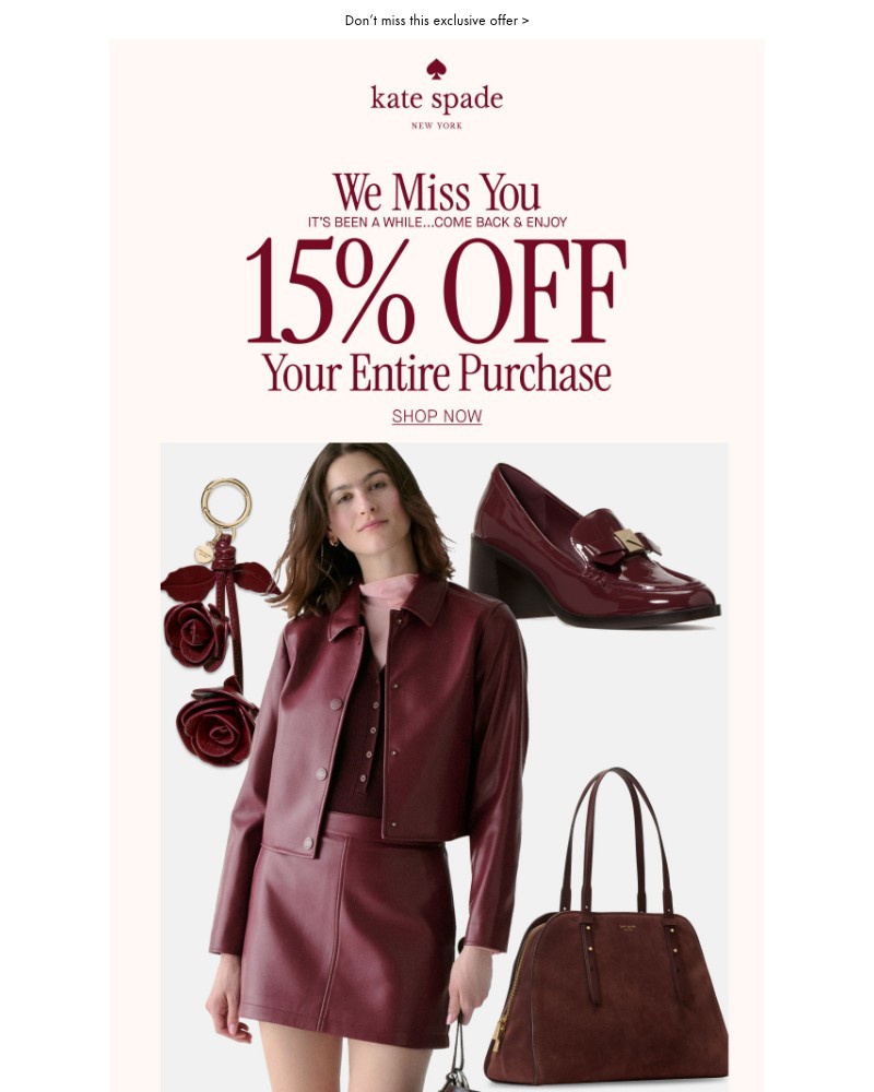 Screenshot of email with subject /media/emails/your-15-off-ends-soon-967967-cropped-7285a83a.jpg