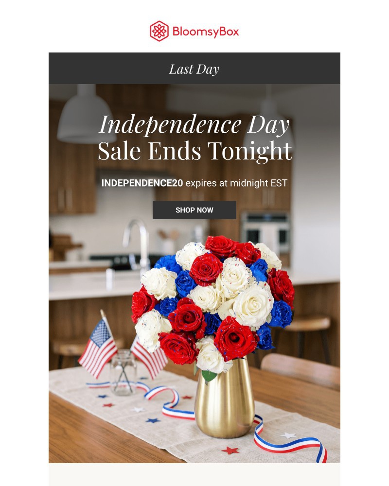 Screenshot of email with subject /media/emails/your-20-off-ends-tonight-733b60-cropped-7a59acab.jpg
