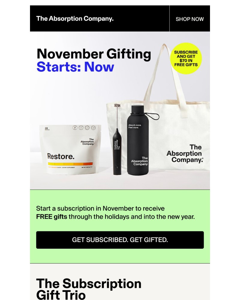 Screenshot of email sent to a The Absorption Company Newsletter subscriber