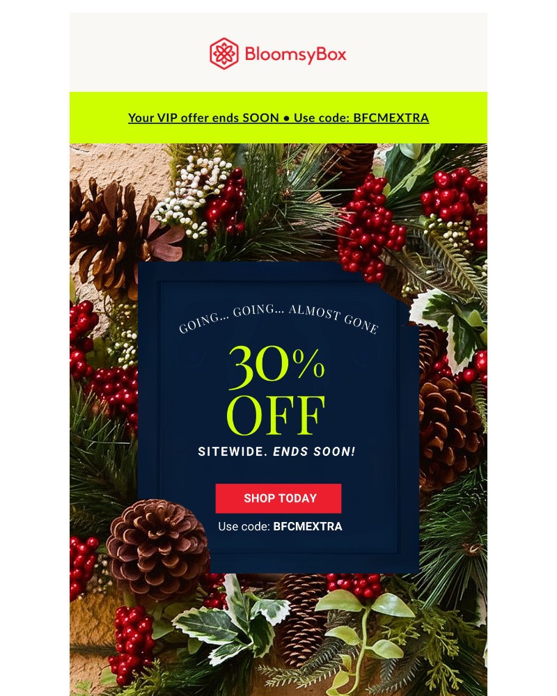 Screenshot of email with subject /media/emails/your-30-off-vip-black-friday-deal-ends-soon-93b1d1-cropped-9224f677.jpg