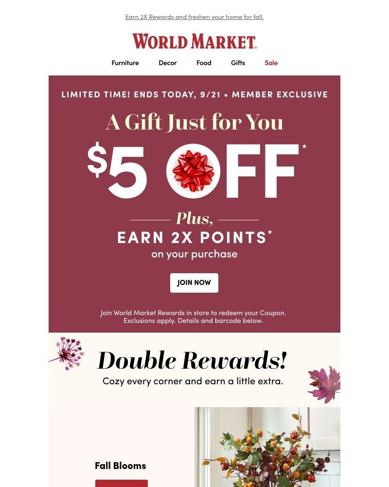 Screenshot of email with subject /media/emails/your-5-gift-expires-tonight-d85d2f-cropped-61cd53db.jpg