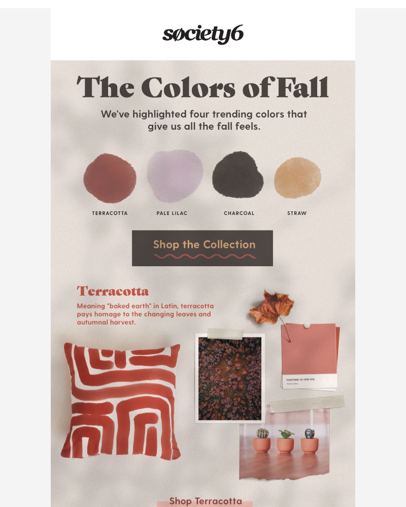 Screenshot of email with subject /media/emails/your-autumn-moodboard-cropped-05d6cadd.jpg