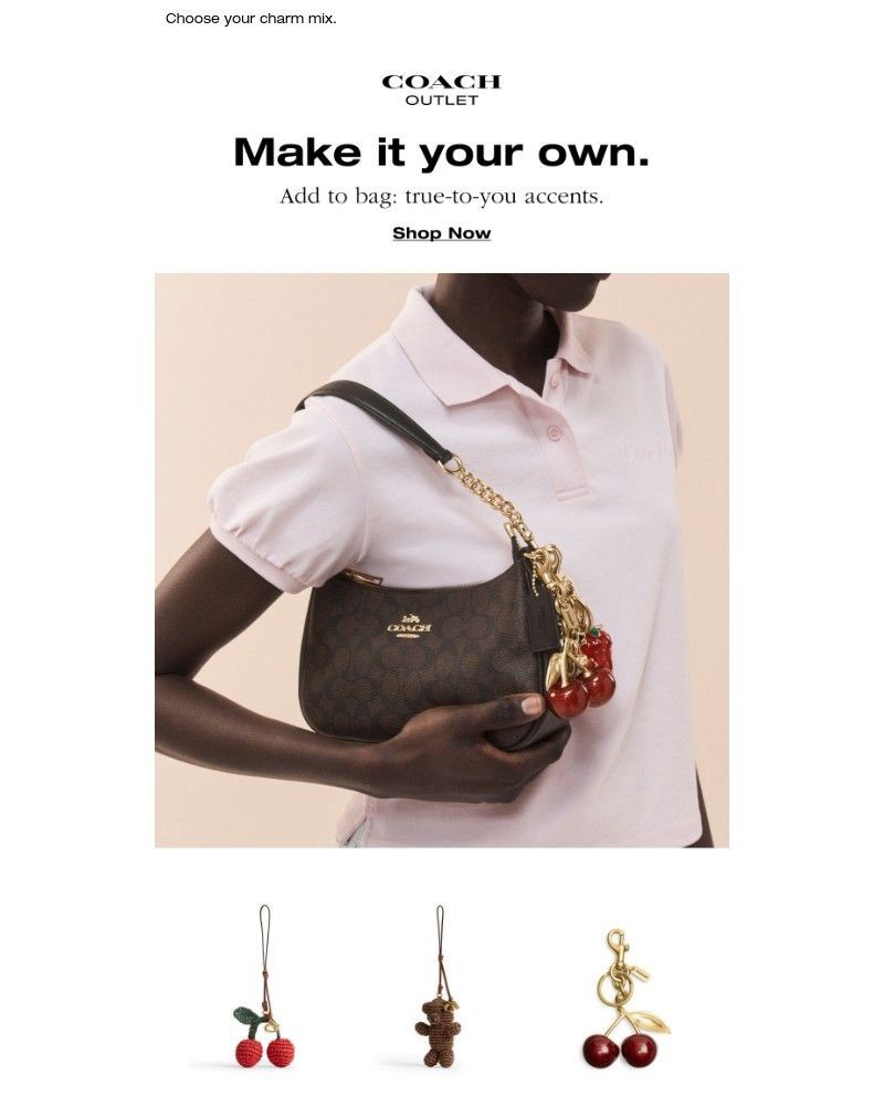 Screenshot of email with subject /media/emails/your-bag-your-way-a1527b-cropped-0a2a84fc.jpg