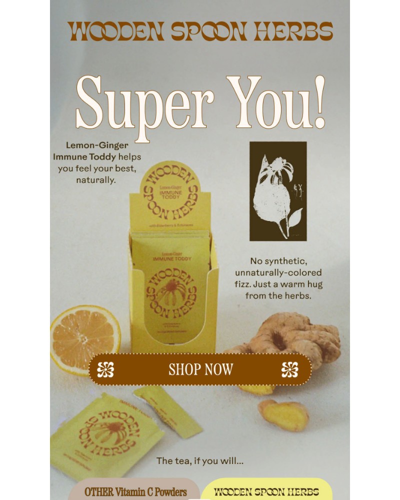 Screenshot of email with subject /media/emails/your-best-friend-this-flu-season-3bf977-cropped-4466668d.jpg