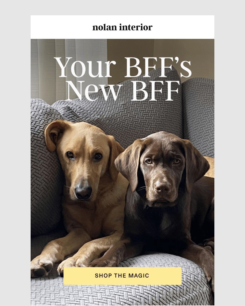 Screenshot of email with subject /media/emails/your-bffs-new-bff-5f859f-cropped-0799d4b6.jpg