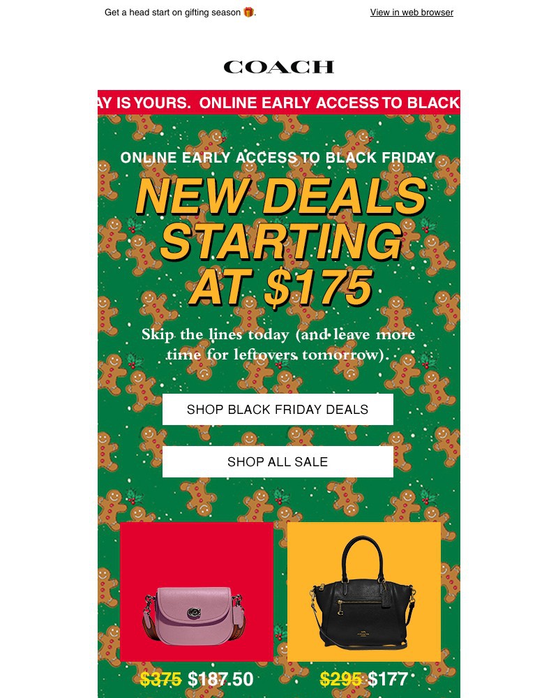 Screenshot of email with subject /media/emails/your-black-friday-early-access-awaits-40614b-cropped-e2840d8a.jpg