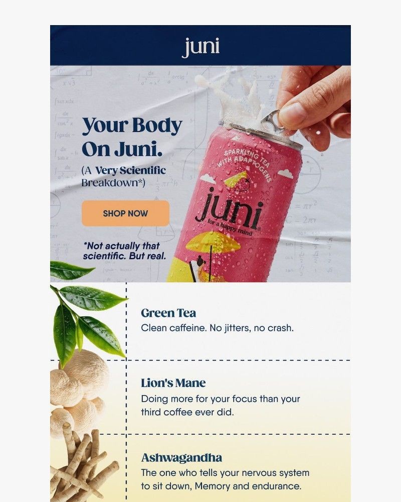 Screenshot of email sent to a Juni Newsletter subscriber