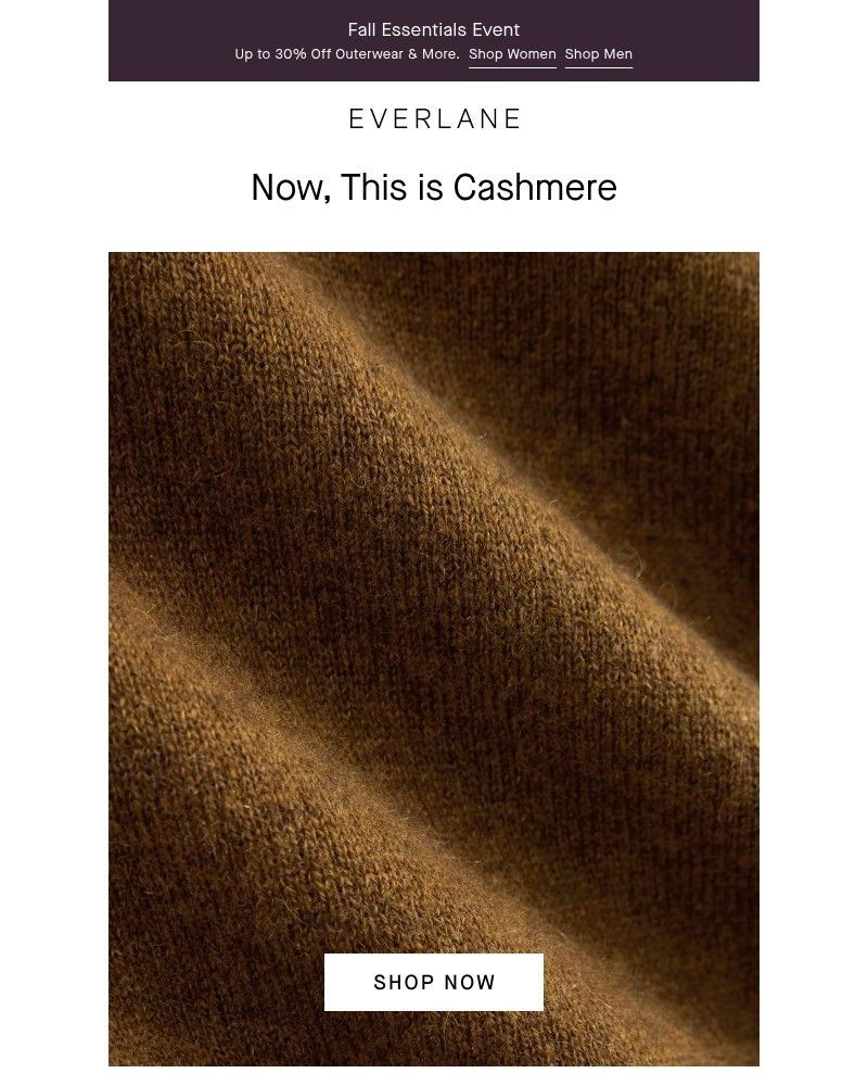 Screenshot of email with subject /media/emails/your-cashmere-era-5f4259-cropped-f12f93a8.jpg