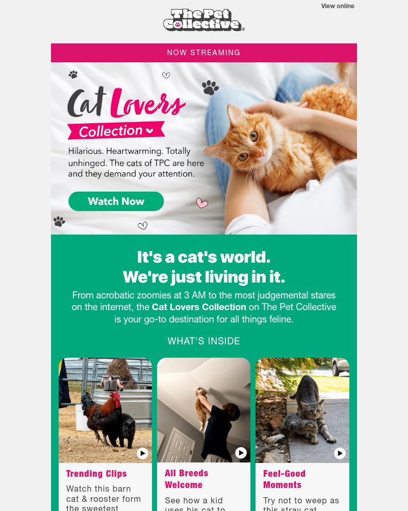 Screenshot of email sent to a Reader’s Digest Newsletter subscriber