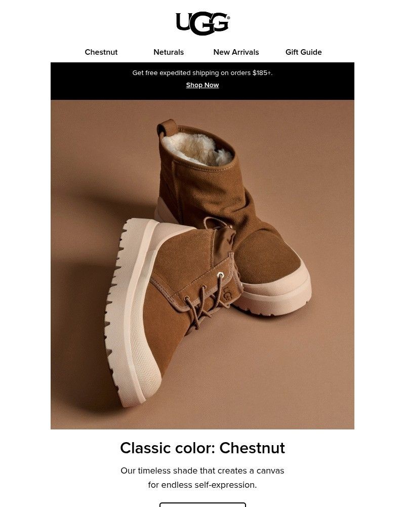 Screenshot of email with subject /media/emails/your-chestnut-list-ab1cf0-cropped-50094c45.jpg