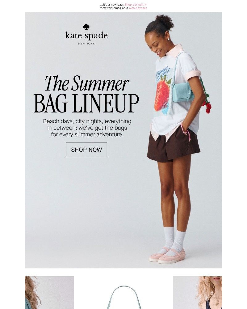 Screenshot of email with subject /media/emails/your-constant-companion-this-summer-80e164-cropped-2df45c93.jpg