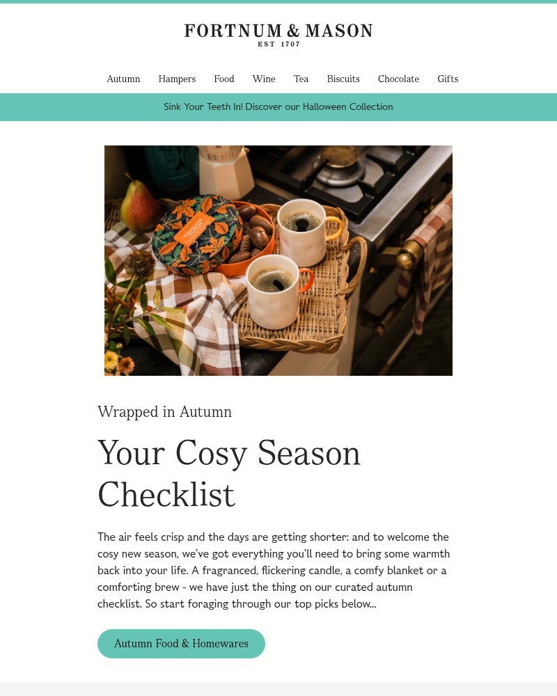 Screenshot of email with subject /media/emails/your-cosy-season-checklist-a06206-cropped-e0fd8c65.jpg