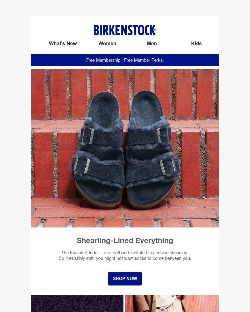 Screenshot of email with subject /media/emails/your-coziest-layer-genuine-shearling-is-back-449ea8-cropped-68e0cc5f.jpg