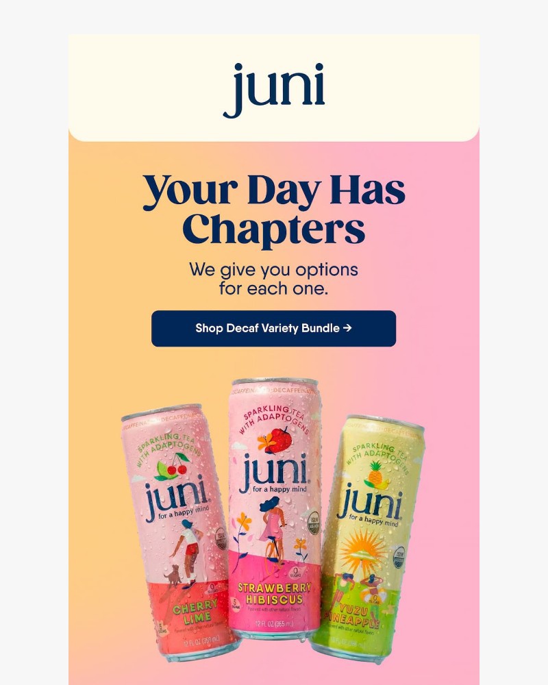 Screenshot of email with subject /media/emails/your-day-has-chapters-deaa77-cropped-3017928a.jpg