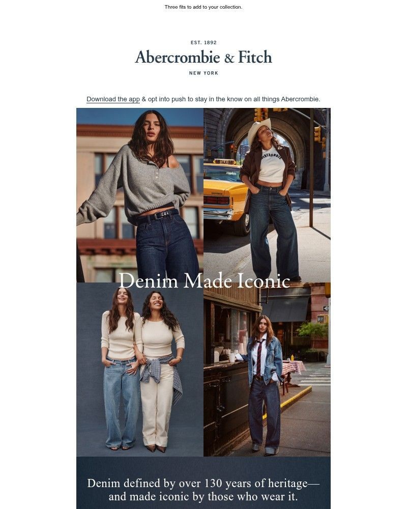 Screenshot of email with subject /media/emails/your-denim-fit-check-3c0a56-cropped-7064f956.jpg