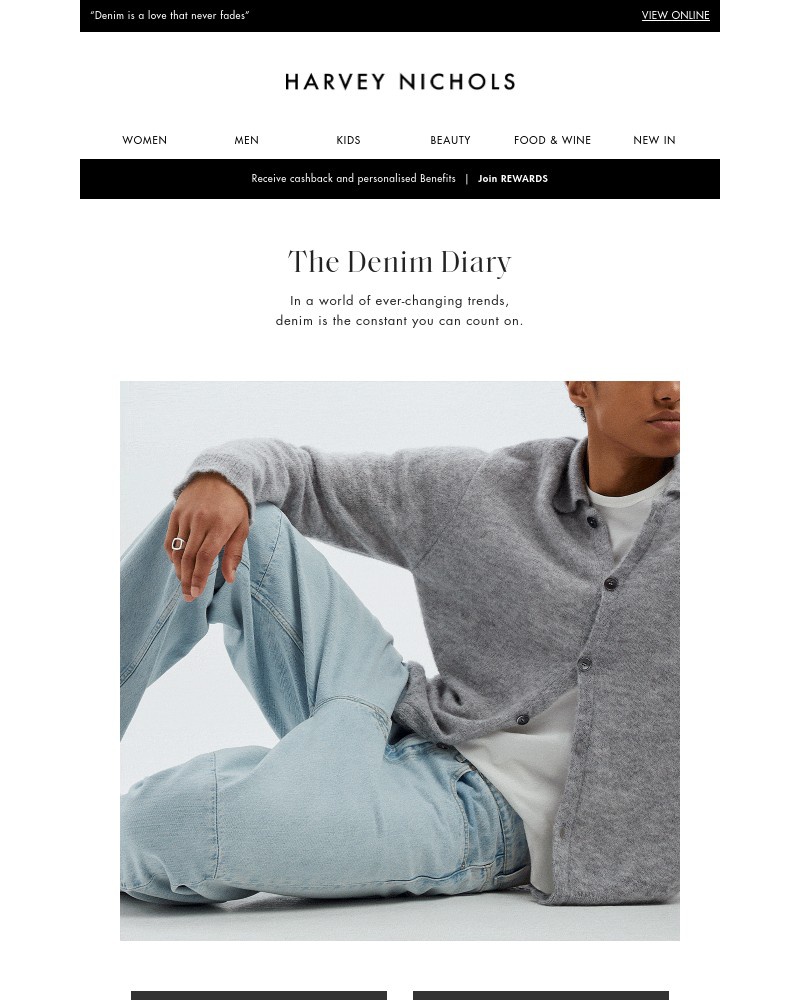 Screenshot of email with subject /media/emails/your-denim-style-guide-a1d11a-cropped-260c88eb.jpg