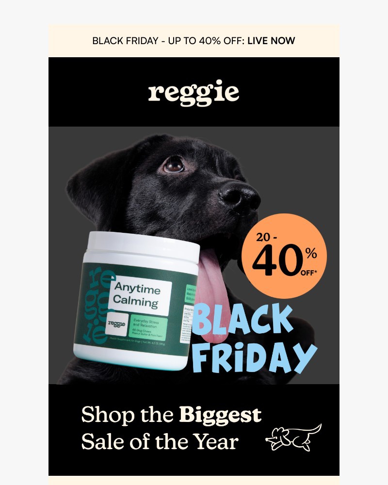 Screenshot of email with subject /media/emails/your-dog-deserves-20-40-off-b82fe7-cropped-599a9f7e.jpg