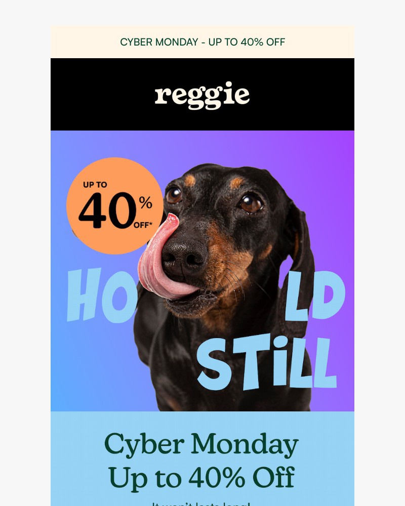 Screenshot of email with subject /media/emails/your-dog-deserves-40-off-fbff31-cropped-b6489e15.jpg