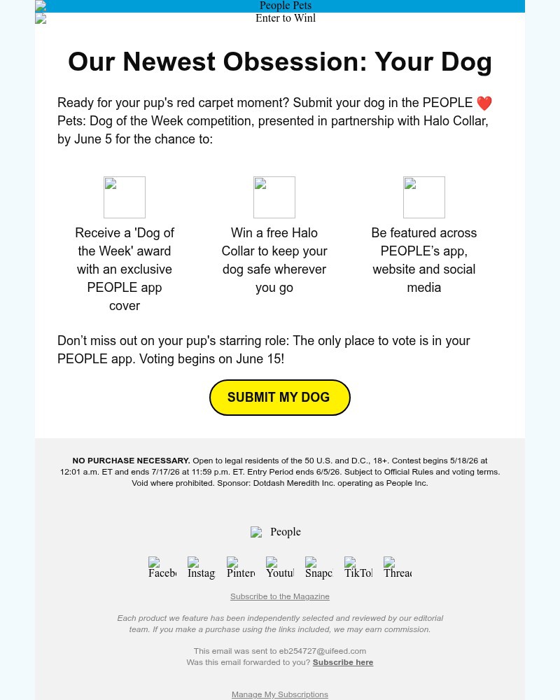 Screenshot of email with subject /media/emails/your-dog-is-our-newest-obsession-bea521-cropped-18c55716.jpg