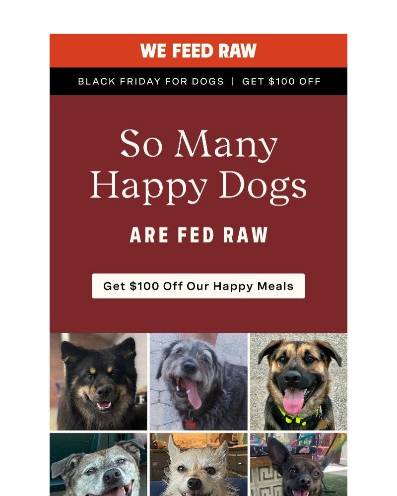 Screenshot of email with subject /media/emails/your-dog-would-click-this-for-100-off-a9ab15-cropped-b383b246.jpg