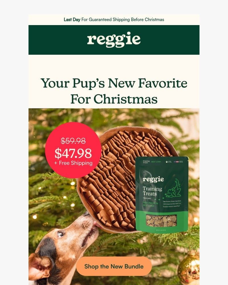 Screenshot of email sent to a reggie Newsletter subscriber