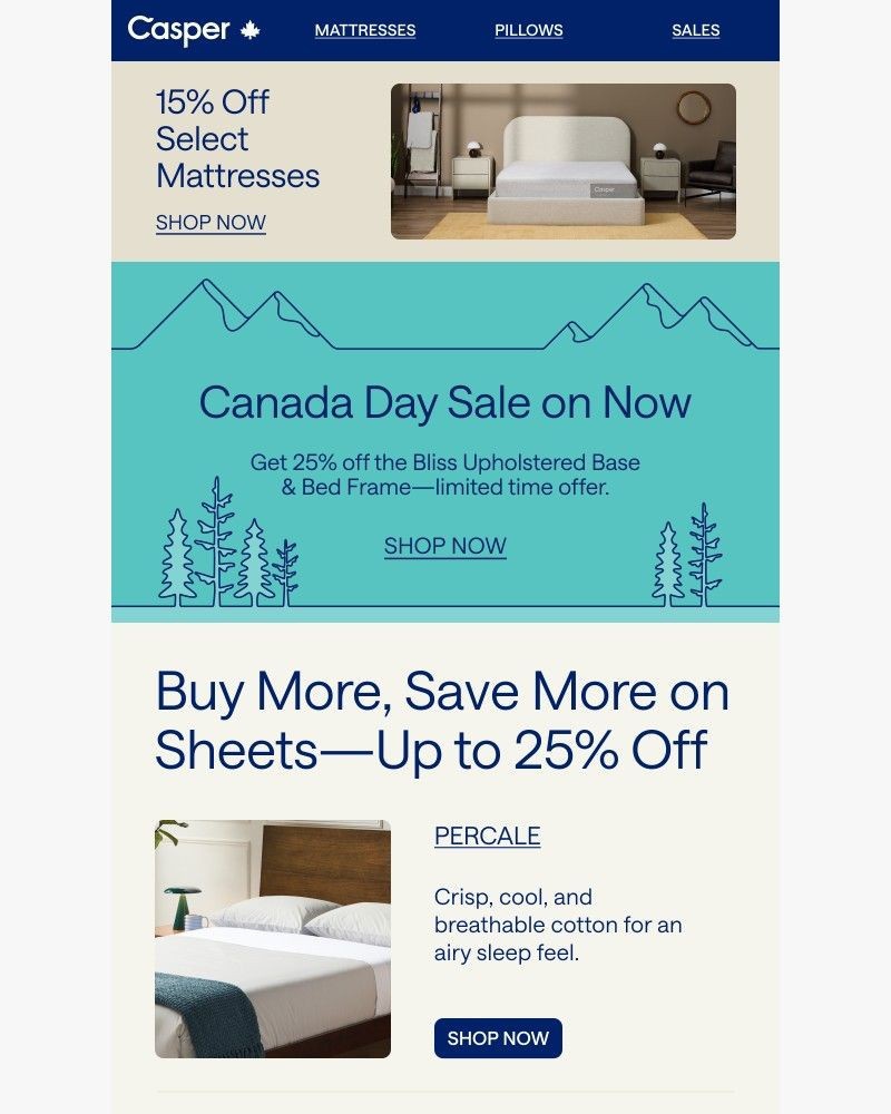 Screenshot of email with subject /media/emails/your-dream-bed-frame-25-off-106a6d-cropped-a3fe883d.jpg