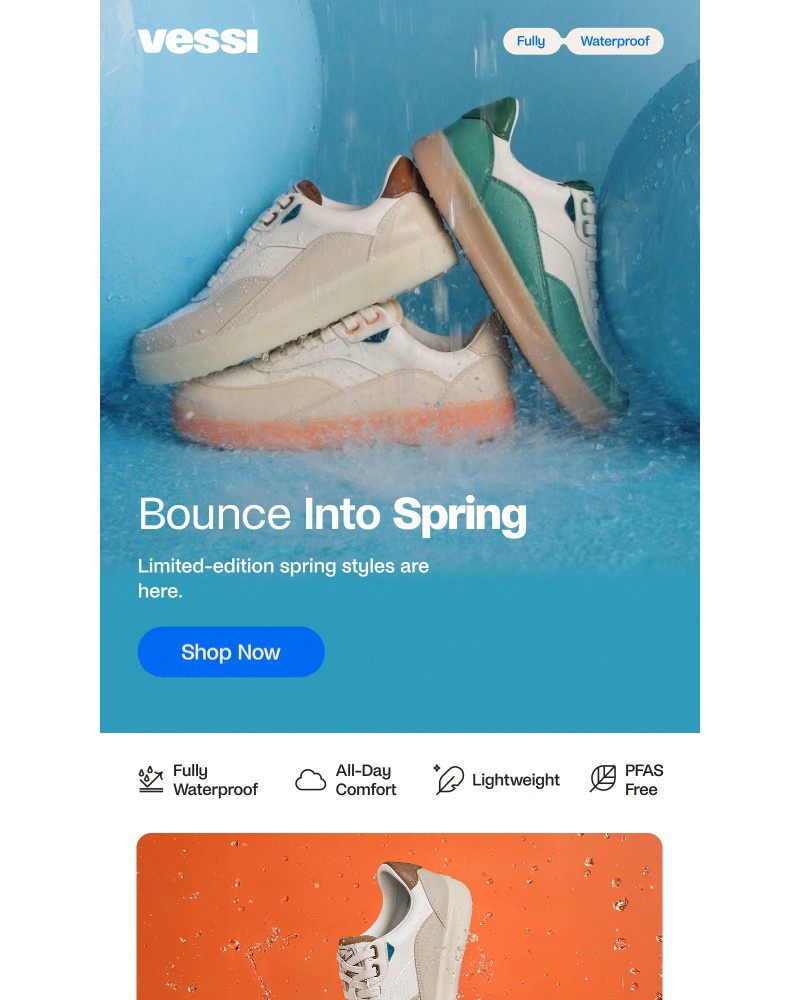 Screenshot of email with subject /media/emails/your-dream-spring-shoe-is-here-a8109f-cropped-31f369b7.jpg