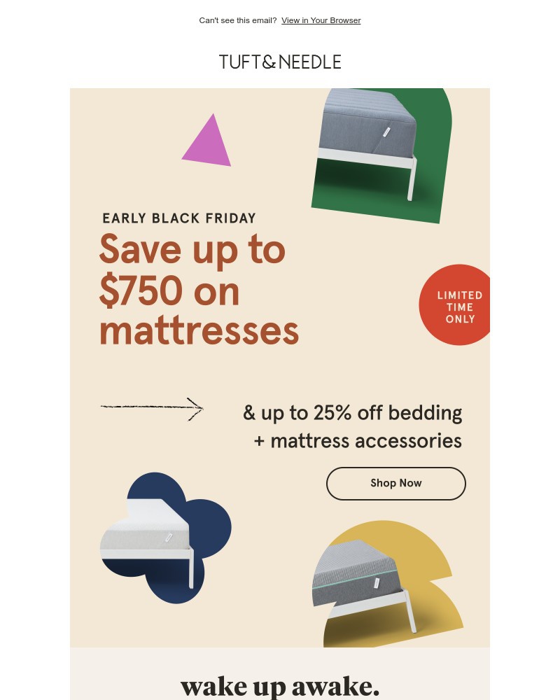 Screenshot of email with subject /media/emails/your-early-black-friday-offer-is-inside-482091-cropped-648c1c70.jpg