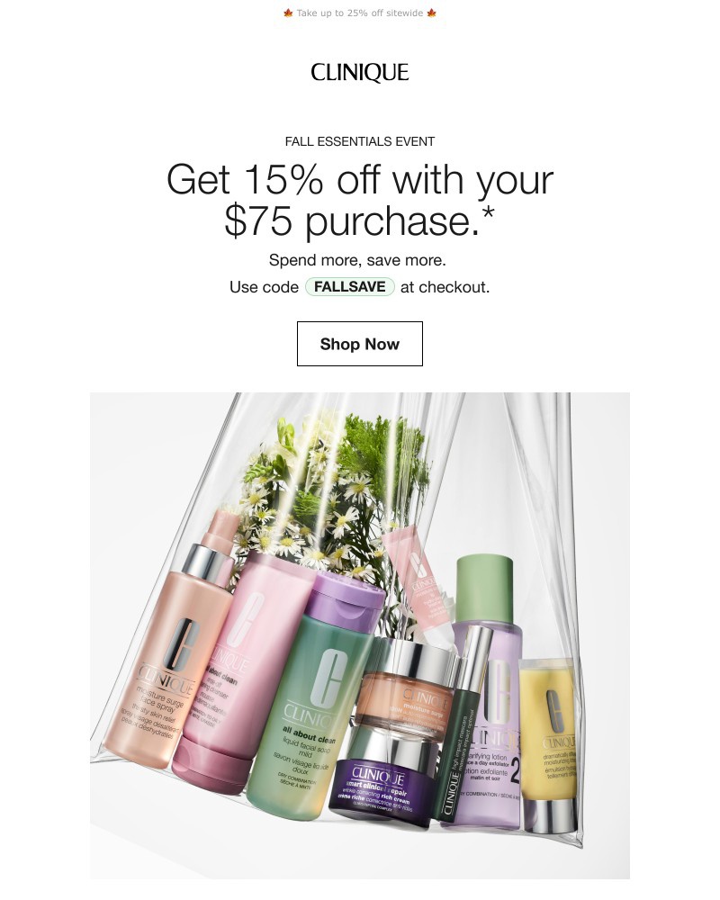 Screenshot of email with subject /media/emails/your-fall-favorites-are-all-on-sale-382e53-cropped-adede52b.jpg