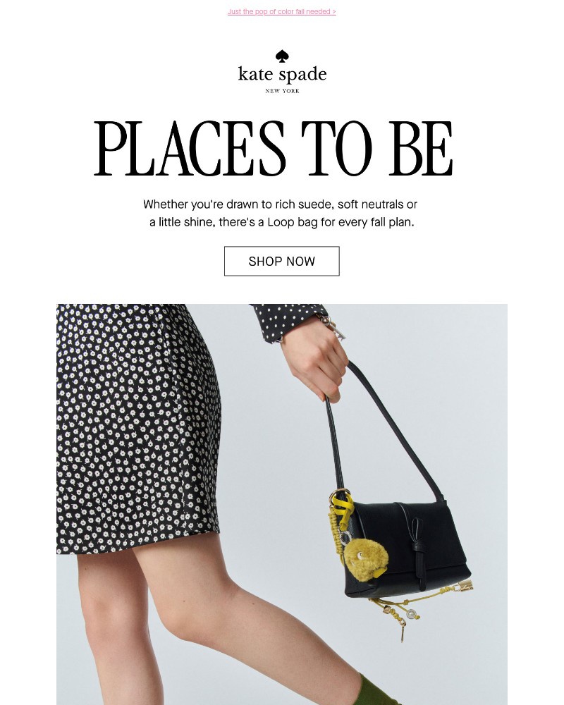 Screenshot of email sent to a Kate Spade Newsletter subscriber