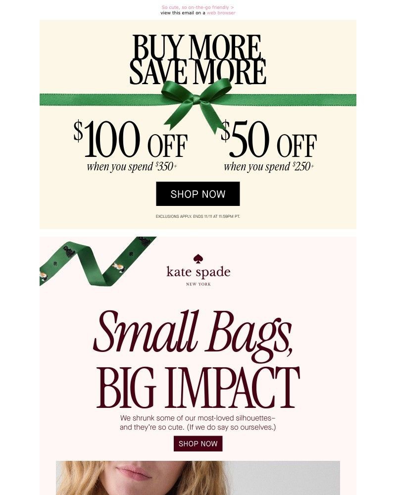 Screenshot of email with subject /media/emails/your-favorite-bagsmade-mini-a111be-cropped-5cfe20e7.jpg