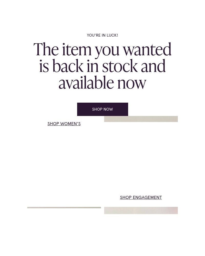 Screenshot of email sent to a Zales Newsletter subscriber