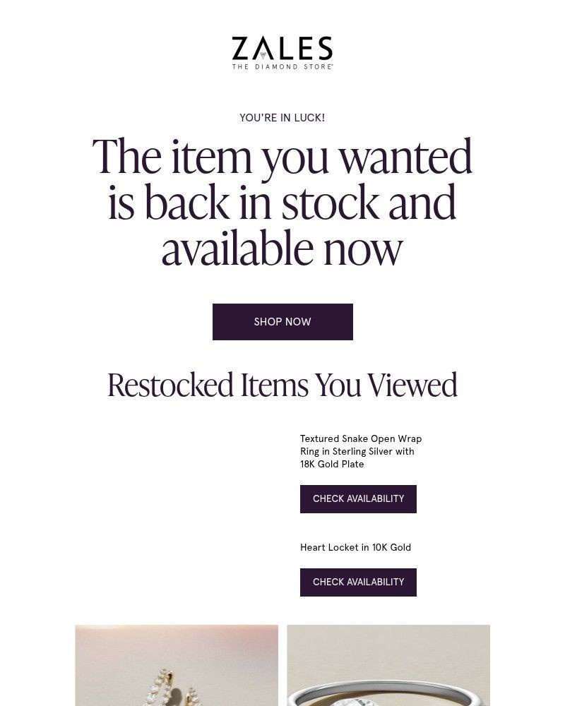 Screenshot of email with subject /media/emails/your-favorite-is-back-in-stock-6f1f5f-cropped-4eb61d3e.jpg
