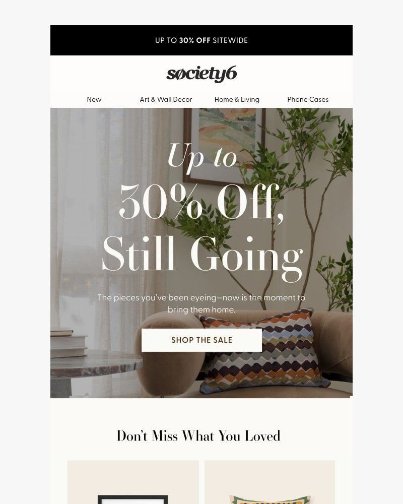 Screenshot of email sent to a Society6 Newsletter subscriber