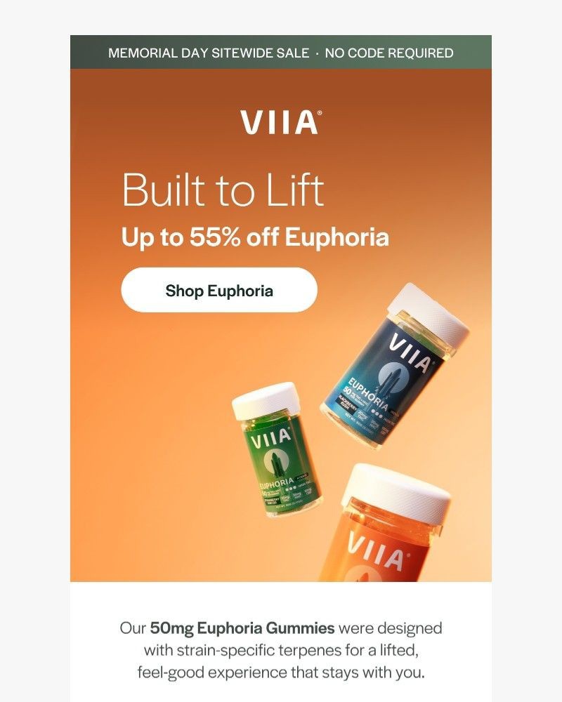 Screenshot of email sent to a VIIA Newsletter subscriber
