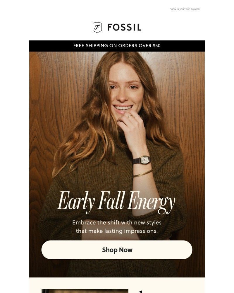 Screenshot of email with subject /media/emails/your-first-look-at-fall-0bf039-cropped-cc01a49a.jpg