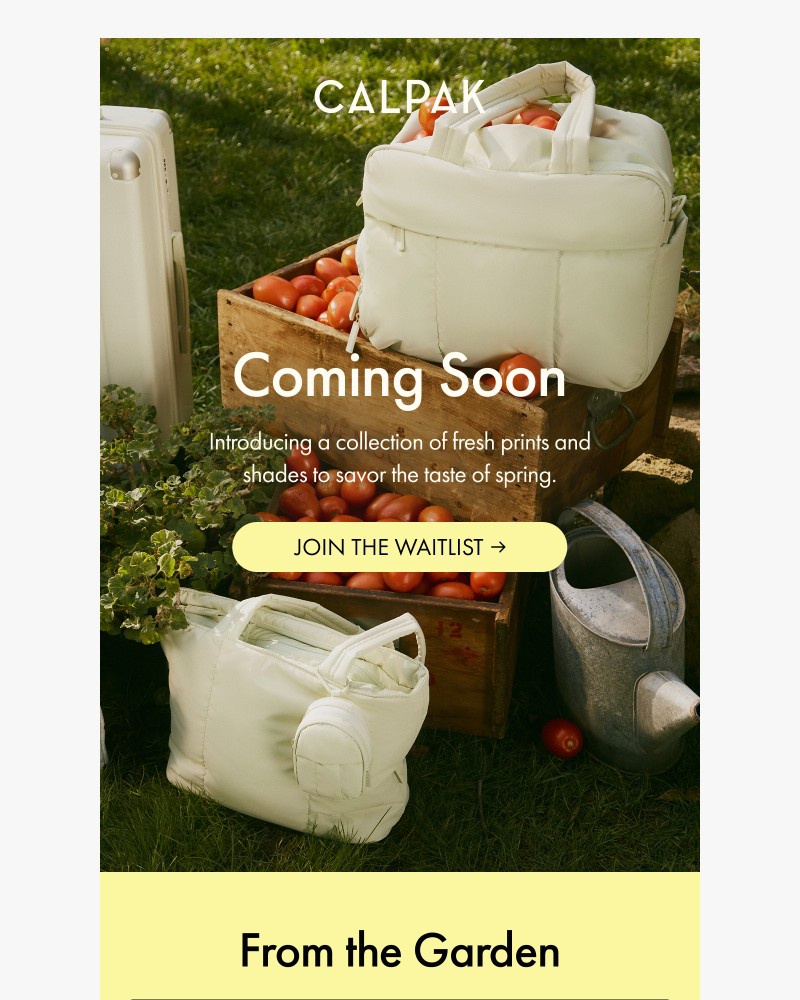 Screenshot of email with subject /media/emails/your-first-look-new-spring-colors-226297-cropped-94909c53.jpg