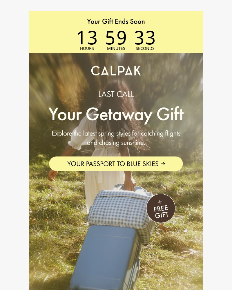 Screenshot of email sent to a Calpak Newsletter subscriber