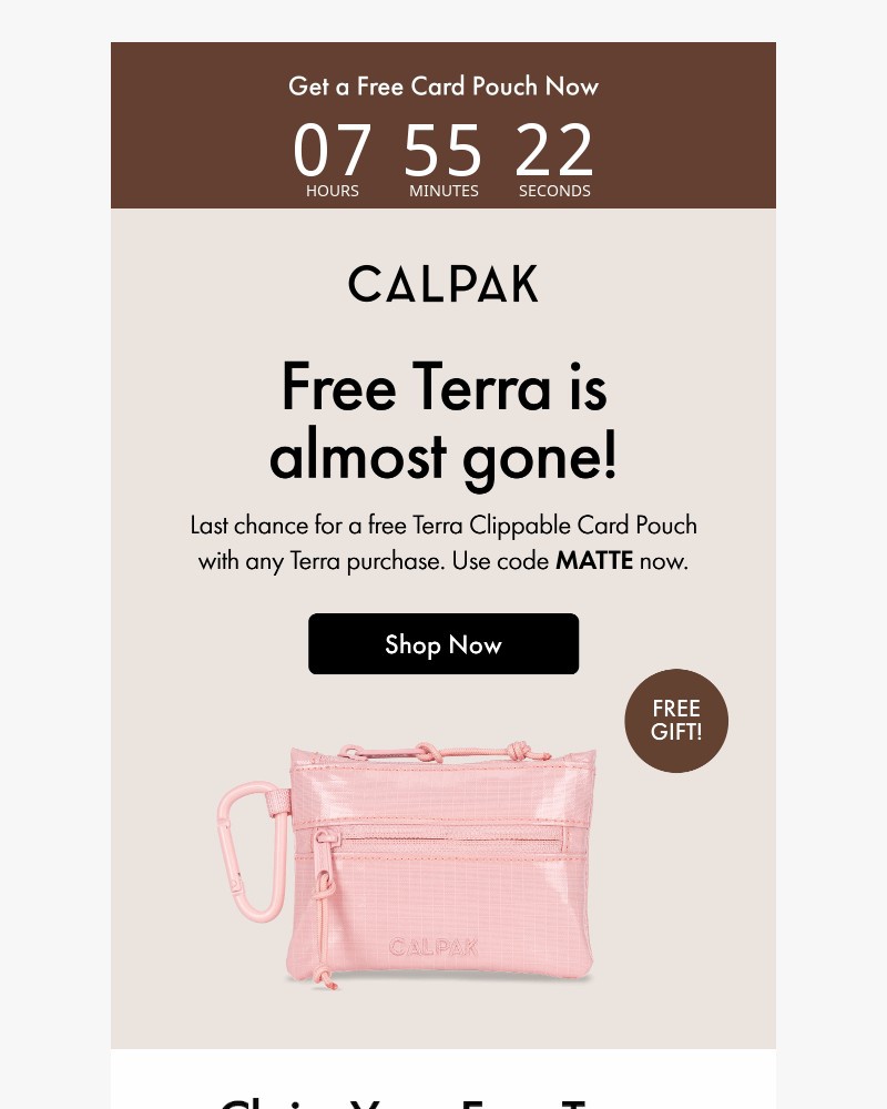 Screenshot of email with subject /media/emails/your-free-terra-matte-expires-soon-4cbccc-cropped-3597794f.jpg