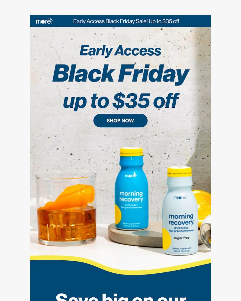 Screenshot of email with subject /media/emails/your-future-self-is-begging-you-34c3e4-cropped-fec4d9b1.jpg